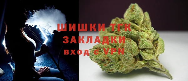 мет Дмитров