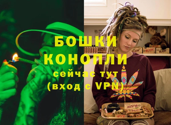 тгк Дмитровск