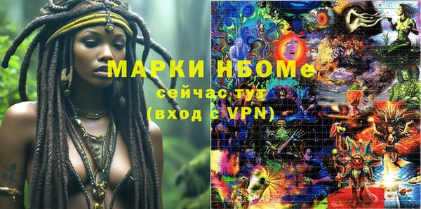 тгк Дмитровск