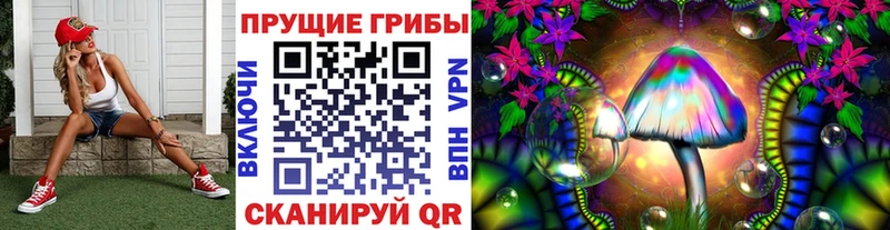 Купить закладки  Бологое  Галлюциногенные грибы GOLDEN TEACHER 